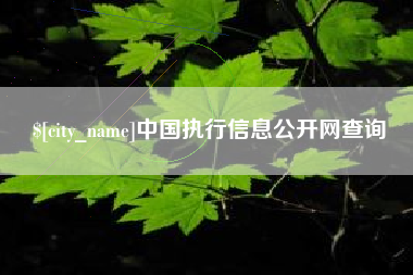 弥勒中国执行信息公开网查询
