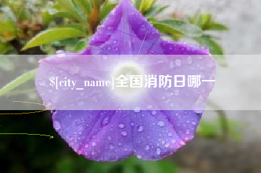 弥勒全国消防日哪一