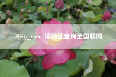 弥勒消防证查询全国联网