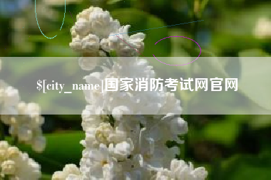 弥勒国家消防考试网官网