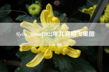 弥勒2022年九宫格飞星图