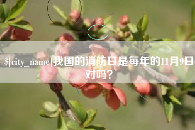 弥勒我国的消防日是每年的11月9日对吗？