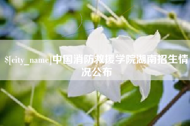 弥勒中国消防救援学院湖南招生情况公布