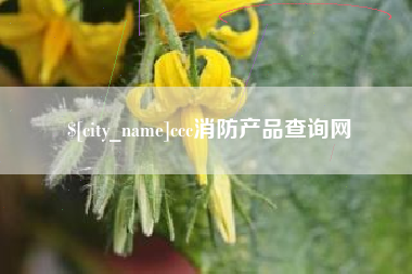 弥勒ccc消防产品查询网