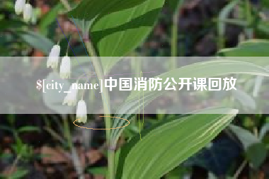 弥勒中国消防公开课回放