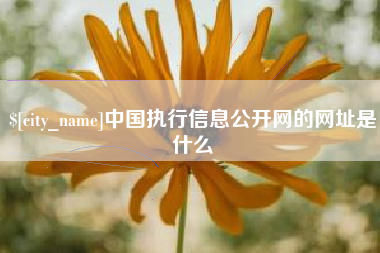 弥勒中国执行信息公开网的网址是什么
