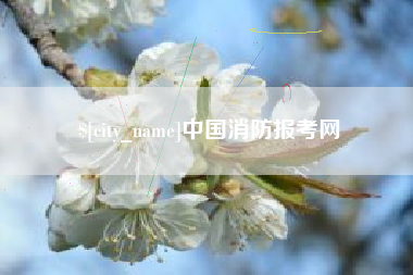 弥勒中国消防报考网