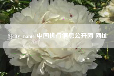 弥勒中国执行信息公开网 网址