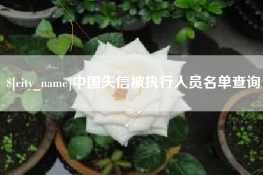 弥勒中国失信被执行人员名单查询