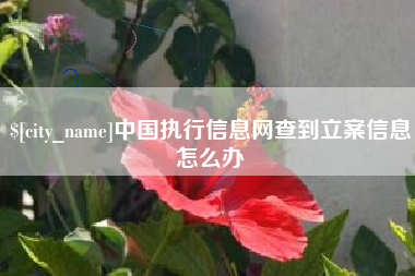 弥勒中国执行信息网查到立案信息怎么办