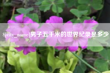 弥勒男子五千米的世界纪录是多少