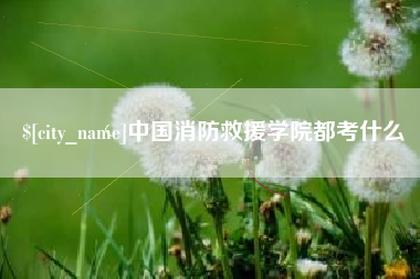 弥勒中国消防救援学院都考什么