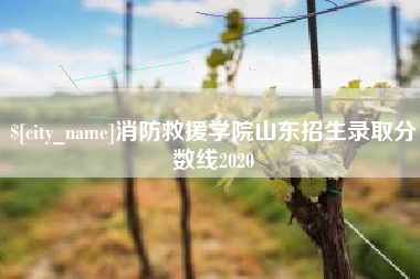 弥勒消防救援学院山东招生录取分数线2020