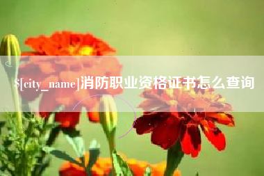 弥勒消防职业资格证书怎么查询