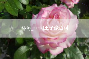 弥勒王子豪百科
