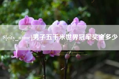 弥勒男子五千米世界冠军奖金多少