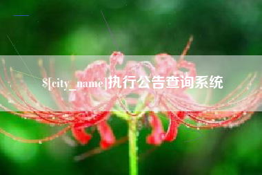 弥勒执行公告查询系统