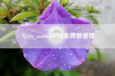 弥勒中国金牌都是啥