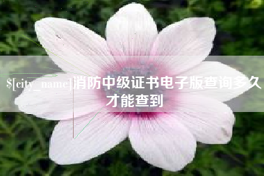 弥勒消防中级证书电子版查询多久才能查到