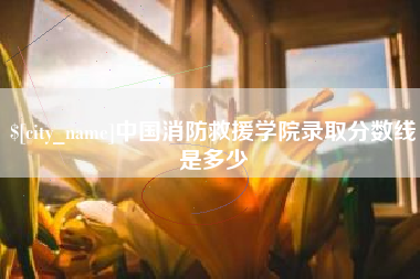 弥勒中国消防救援学院录取分数线是多少