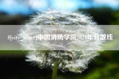 弥勒中国消防学院2024年分数线