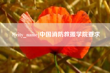弥勒中国消防救援学院要求