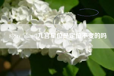 弥勒九宫星位是定位不变的吗