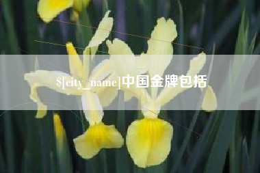 弥勒中国金牌包括