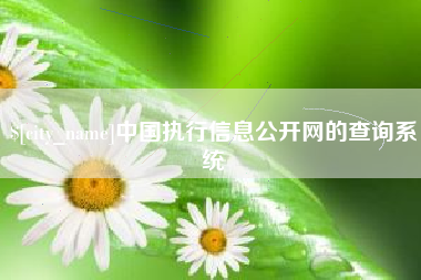 弥勒中国执行信息公开网的查询系统