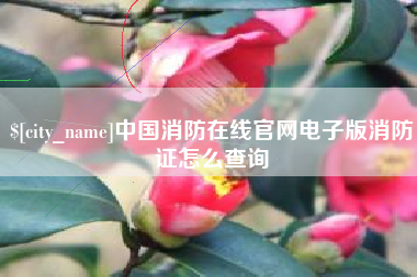 弥勒中国消防在线官网电子版消防证怎么查询