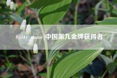 弥勒中国第九金牌获得者