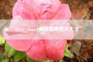 弥勒中国金牌图片大全