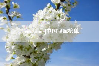 弥勒中国冠军榜单