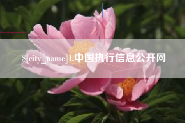 弥勒1.中国执行信息公开网