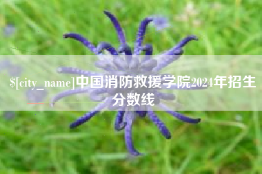 弥勒中国消防救援学院2024年招生分数线