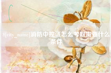 弥勒消防中控证怎么考取需要什么条件