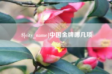 弥勒中国金牌哪几项