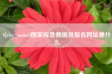 弥勒国家应急救援员报名网址是什么