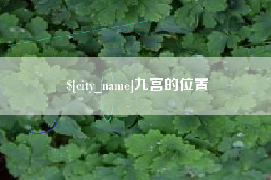 弥勒九宫的位置
