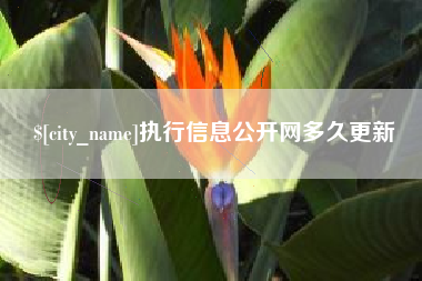 弥勒执行信息公开网多久更新