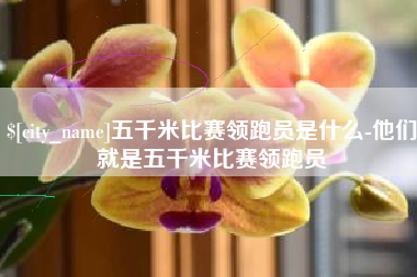 弥勒五千米比赛领跑员是什么-他们就是五千米比赛领跑员