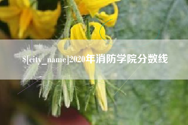 弥勒2020年消防学院分数线