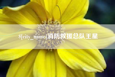 弥勒消防救援总队王星