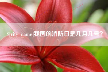 弥勒我国的消防日是几月几号？