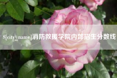 弥勒消防救援学院内部招生分数线