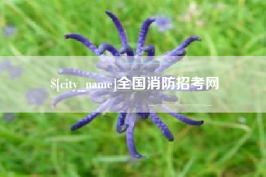 弥勒全国消防招考网