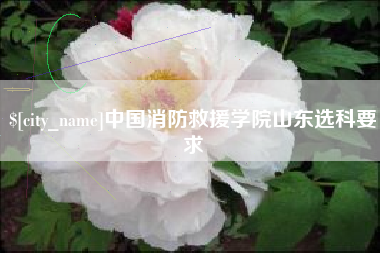 弥勒中国消防救援学院山东选科要求