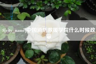 弥勒中国消防救援学院什么时候政审
