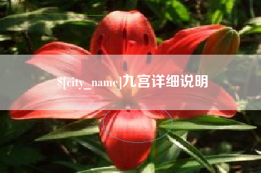 弥勒九宫详细说明