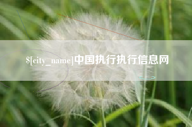 弥勒中国执行执行信息网